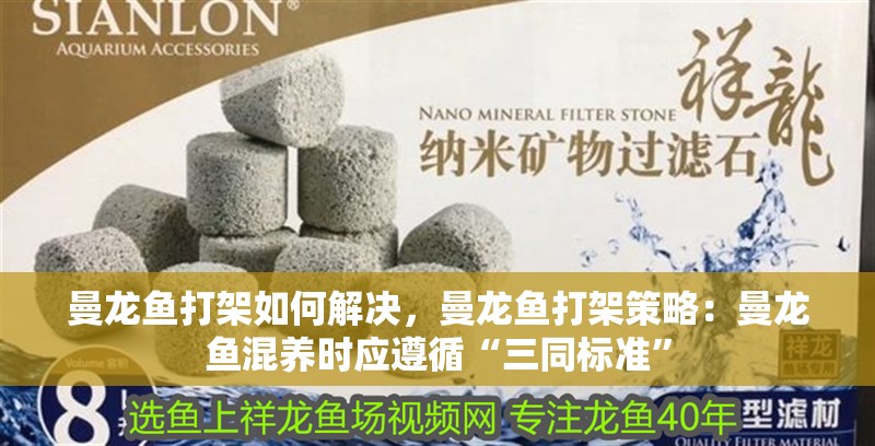 曼龍魚打架如何解決，曼龍魚打架策略：曼龍魚混養時應遵循“三同標準”