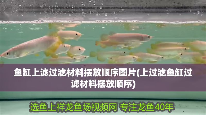 魚缸上濾過濾材料擺放順序圖片(上過濾魚缸過濾材料擺放順序)