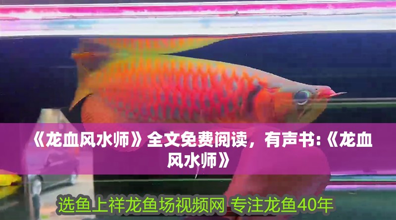 《龍血風水師》全文免費閱讀，有聲書:《龍血風水師》