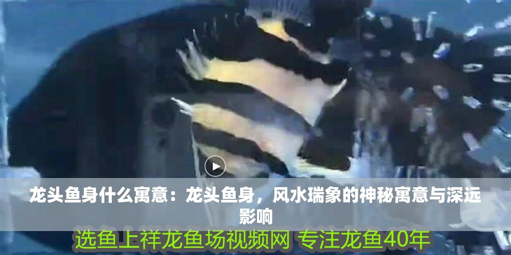 龍頭魚身什么寓意：龍頭魚身，風水瑞象的神秘寓意與深遠影響