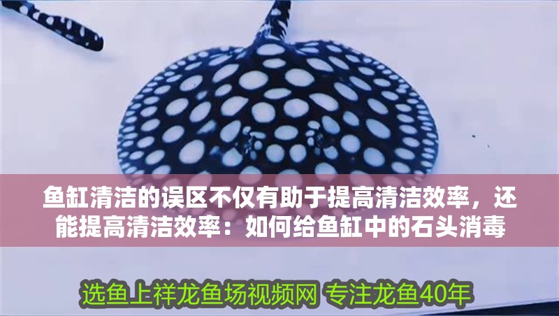 魚缸清潔的誤區不僅有助于提高清潔效率，還能提高清潔效率：如何給魚缸中的石頭消毒
