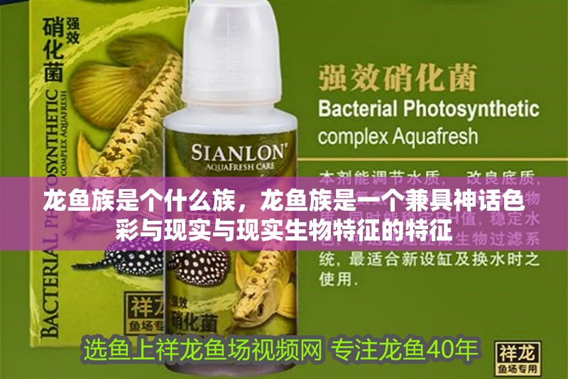 龍魚族是個什么族，龍魚族是一個兼具神話色彩與現實與現實生物特征的特征