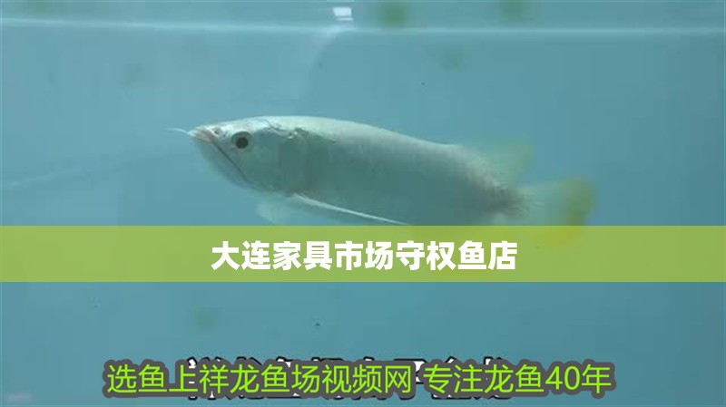 大連家具市場守權魚店