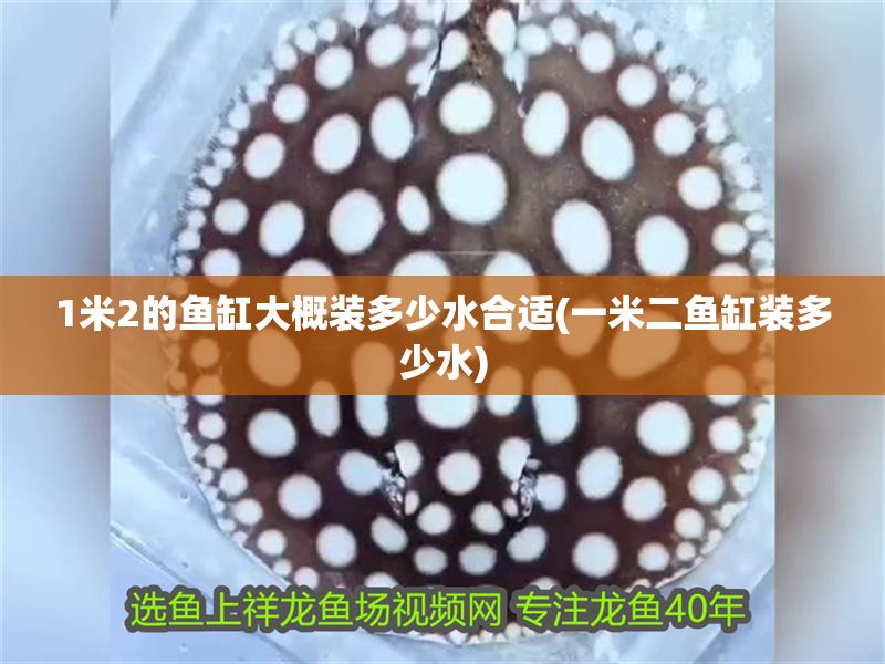 1米2的魚缸大概裝多少水合適(一米二魚缸裝多少水)