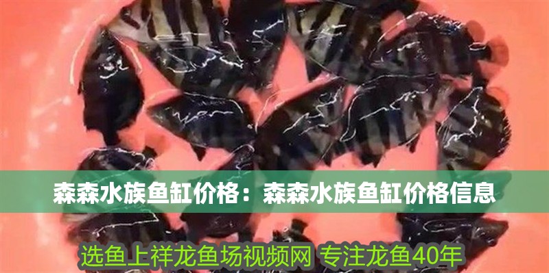 森森水族魚缸價格：森森水族魚缸價格信息