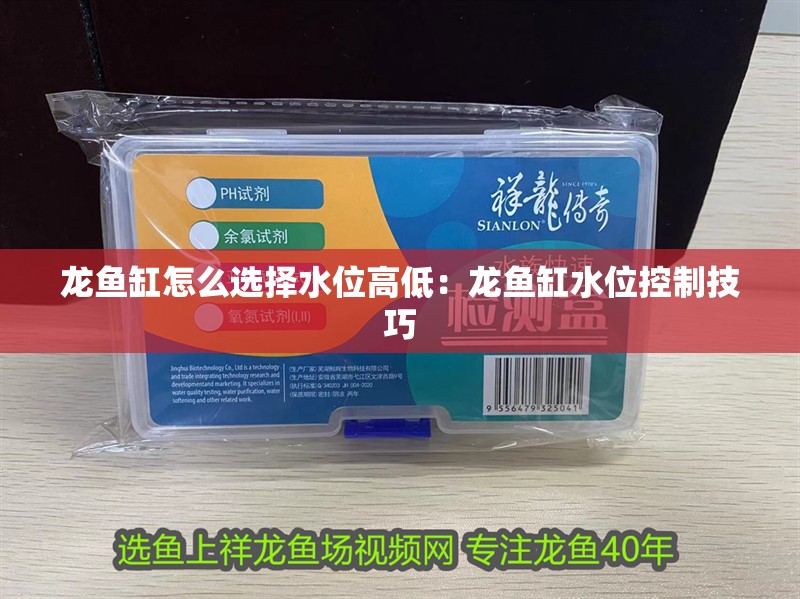 龍魚缸怎么選擇水位高低：龍魚缸水位控制技巧