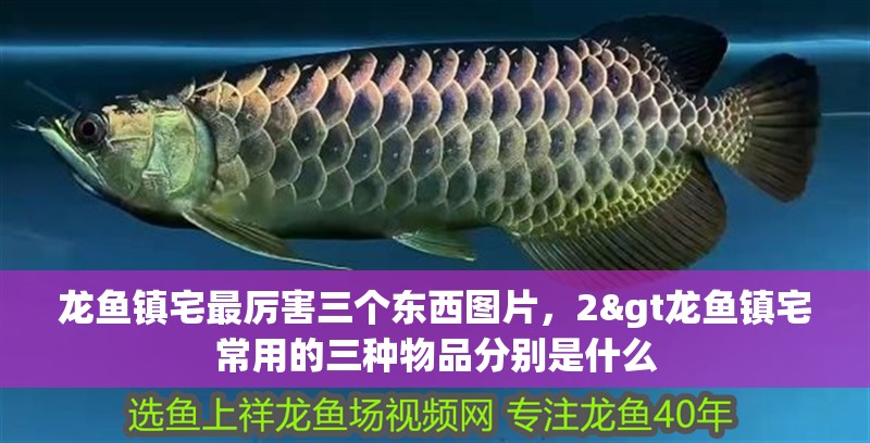 龍魚鎮宅最厲害三個東西圖片，2&gt龍魚鎮宅常用的三種物品分別是什么
