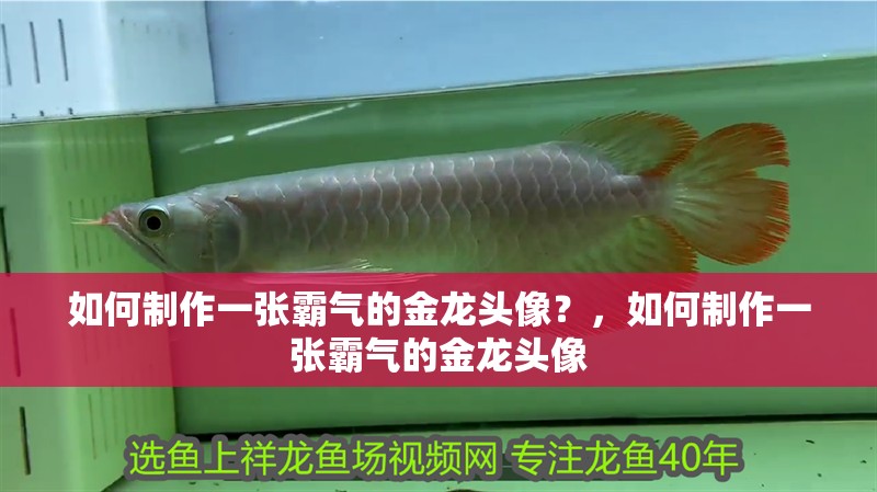 如何制作一張霸氣的金龍頭像？，如何制作一張霸氣的金龍頭像