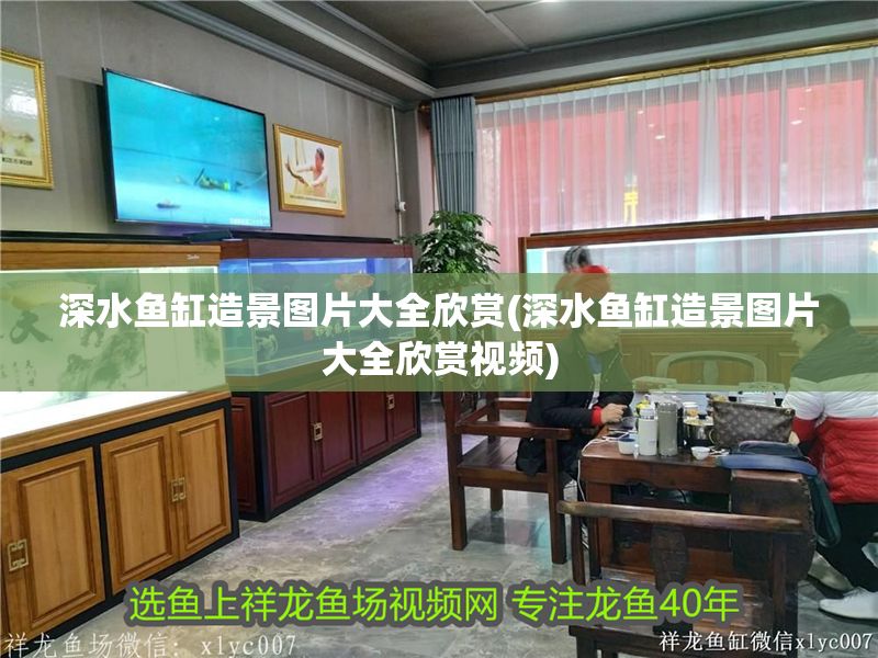 深水魚缸造景圖片大全欣賞(深水魚缸造景圖片大全欣賞視頻)