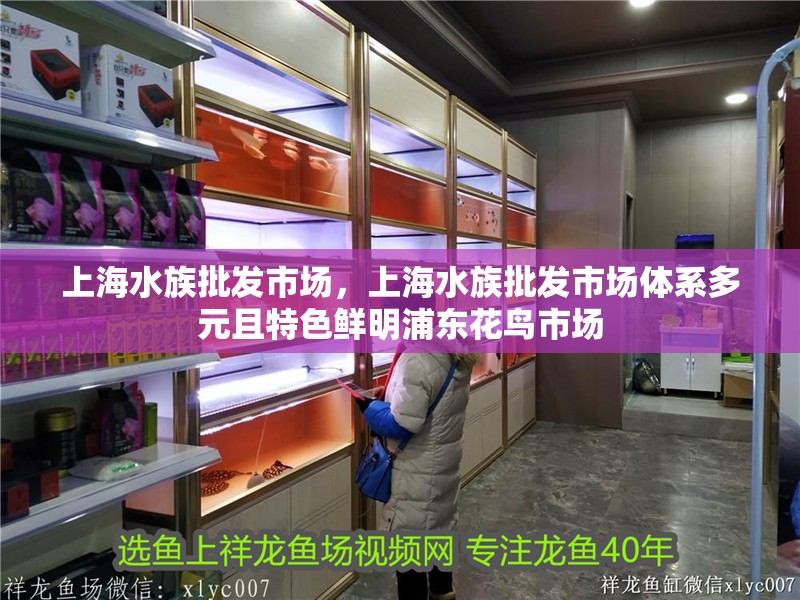 上海水族批發市場，上海水族批發市場體系多元且特色鮮明浦東花鳥市場