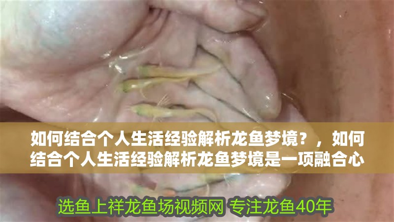如何結合個人生活經驗解析龍魚夢境？，如何結合個人生活經驗解析龍魚夢境是一項融合心理學與個人感悟的獨特探索