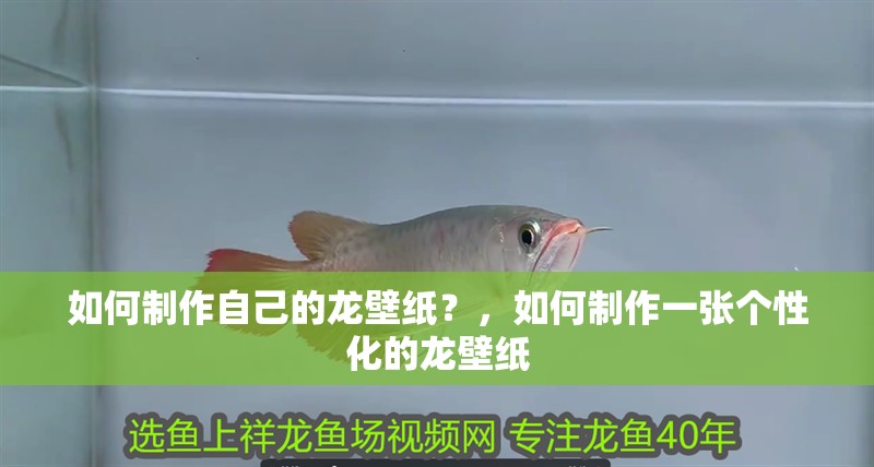 魚缸造景先放沙還是先放水(魚缸造景先鋪沙還是先放石頭) 如何制作自己的龍壁紙?,如何制作一張個性化的龍壁紙 龍魚論壇 如何制作自己的龍壁紙?,如何制作一張個性化的龍壁紙 如何制作自己的龍壁紙?,如何制作一張個性化的龍壁紙 龍魚論壇