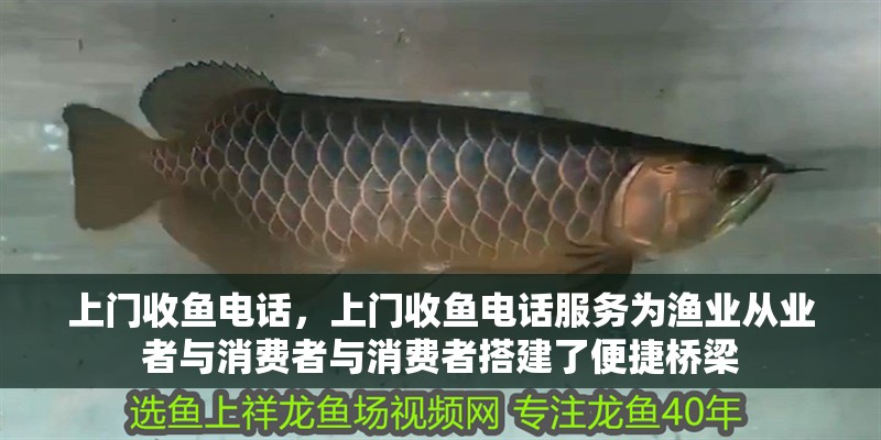 上門收魚(yú)電話，上門收魚(yú)電話服務(wù)為漁業(yè)從業(yè)者與消費(fèi)者與消費(fèi)者搭建了便捷橋梁