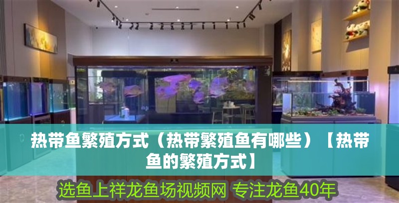 熱帶魚繁殖方式（熱帶繁殖魚有哪些）【熱帶魚的繁殖方式】