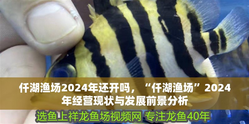 仟湖漁場2024年還開嗎，“仟湖漁場”2024年經營現狀與發展前景分析