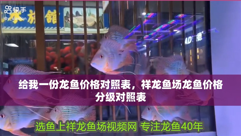 給我一份龍魚價格對照表，祥龍魚場龍魚價格分級對照表