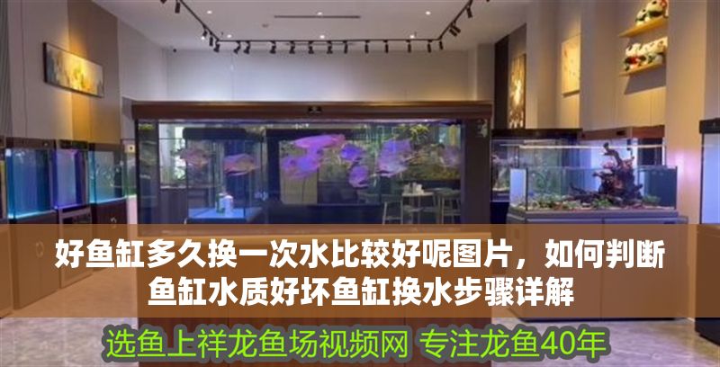 好魚缸多久換一次水比較好呢圖片，如何判斷魚缸水質(zhì)好壞魚缸換水步驟詳解