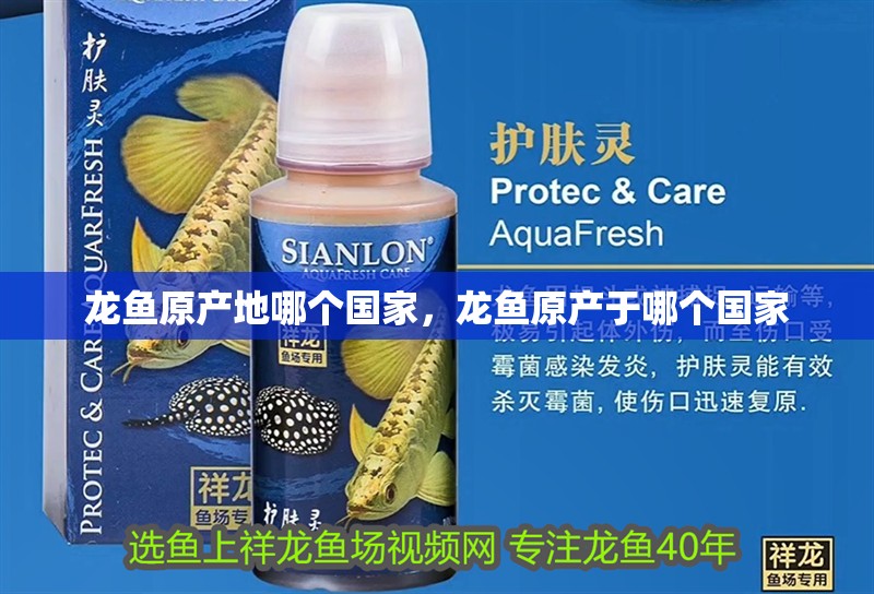 龍魚原產(chǎn)地哪個(gè)國家，龍魚原產(chǎn)于哪個(gè)國家