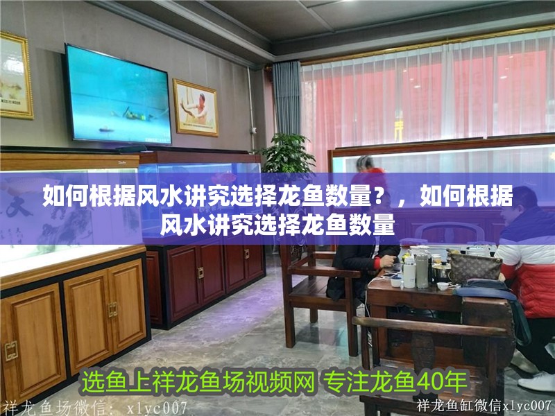 如何根據(jù)風(fēng)水講究選擇龍魚數(shù)量？，如何根據(jù)風(fēng)水講究選擇龍魚數(shù)量