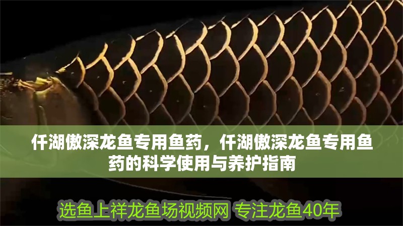 仟湖傲深龍魚(yú)專(zhuān)用魚(yú)藥，仟湖傲深龍魚(yú)專(zhuān)用魚(yú)藥的科學(xué)使用與養(yǎng)護(hù)指南