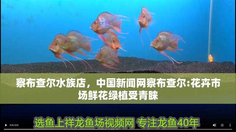 察布查爾水族店，中國新聞網察布查爾:花卉市場鮮花綠植受青睞