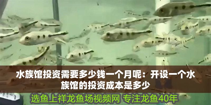水族館投資需要多少錢一個月呢：開設一個水族館的投資成本是多少 水族館投資需要多少錢一個月呢：開設一個水族館的投資成本是多少 水族館百科（水族館加盟） 第1張