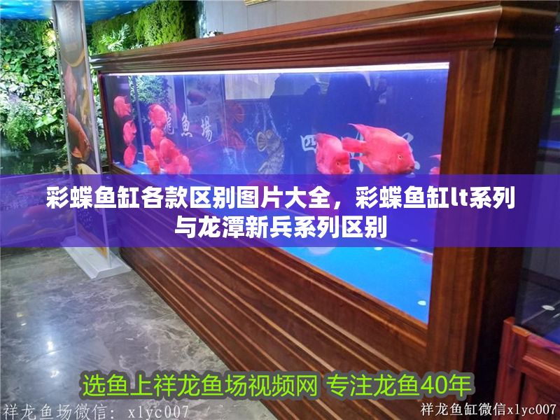 彩蝶魚缸各款區別圖片大全，彩蝶魚缸lt系列與龍潭新兵系列區別