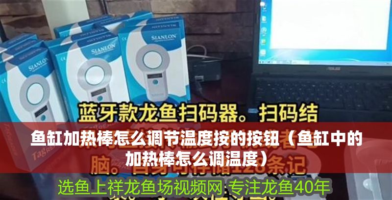 魚(yú)缸加熱棒怎么調(diào)節(jié)溫度按的按鈕（魚(yú)缸中的加熱棒怎么調(diào)溫度）