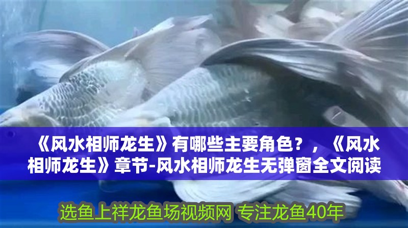 《風(fēng)水相師龍生》有哪些主要角色？，《風(fēng)水相師龍生》章節(jié)-風(fēng)水相師龍生無(wú)彈窗全文閱讀