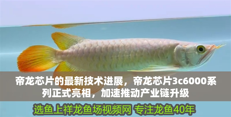 帝龍芯片的最新技術進展，帝龍芯片3c6000系列正式亮相，加速推動產業鏈升級