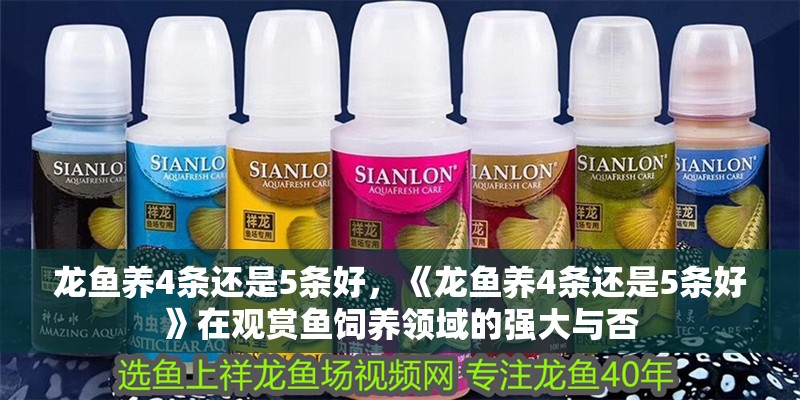 龍魚怕什么 龍魚養4條還是5條好,《龍魚養4條還是5條好》在觀賞魚飼養領域的強大與否 水族問答 龍魚養4條還是5條好,《龍魚養4條還是5條好》在觀賞魚飼養領域的強大與否 龍魚養4條還是5條好,《龍魚養4條還是5條好》在觀賞魚飼養領域的強大與否 水族問答