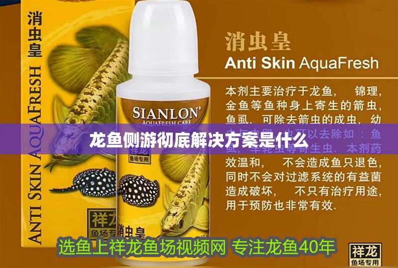 龍魚側游徹底解決方案是什么