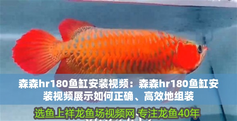 森森hr180魚缸安裝視頻：森森hr180魚缸安裝視頻展示如何正確、高效地組裝