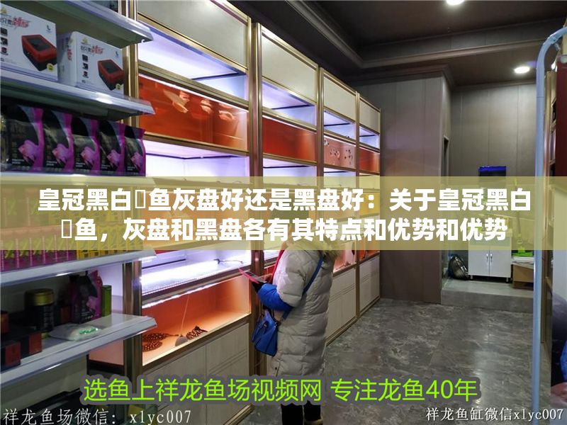 皇冠黑白魟魚灰盤好還是黑盤好：關于皇冠黑白魟魚，灰盤和黑盤各有其特點和優勢和優勢