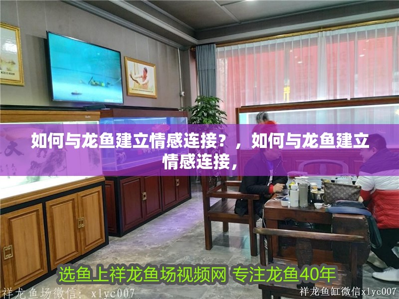 魚缸用增氧泵價格是多少:魚缸增氧機-xtrac增氧機-xtrac增氧機 如何與龍魚建立情感連接?,如何與龍魚建立情感連接, 龍魚論壇 如何與龍魚建立情感連接?,如何與龍魚建立情感連接, 如何與龍魚建立情感連接?,如何與龍魚建立情感連接, 龍魚論壇