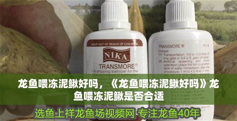 龍魚喂凍泥鰍好嗎，《龍魚喂凍泥鰍好嗎》龍魚喂凍泥鰍是否合適