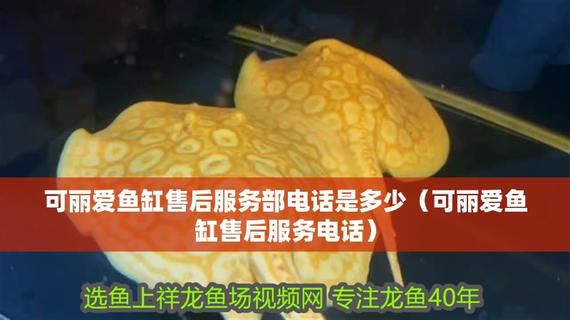 可麗愛魚缸售后服務部電話是多少（可麗愛魚缸售后服務電話）