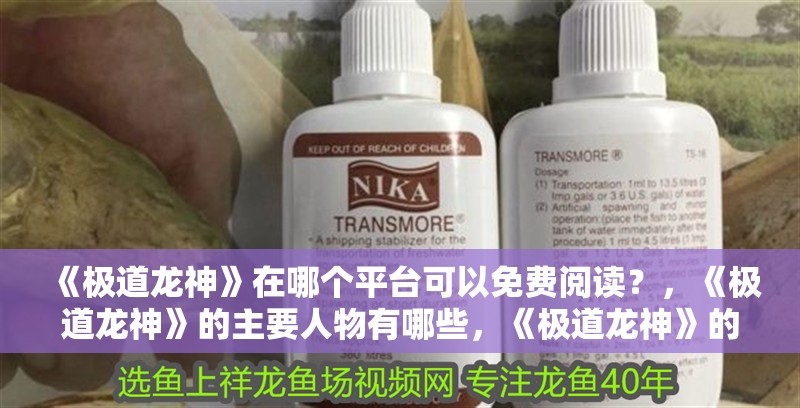 《極道龍神》在哪個平臺可以免費閱讀？，《極道龍神》的主要人物有哪些，《極道龍神》的作者是誰