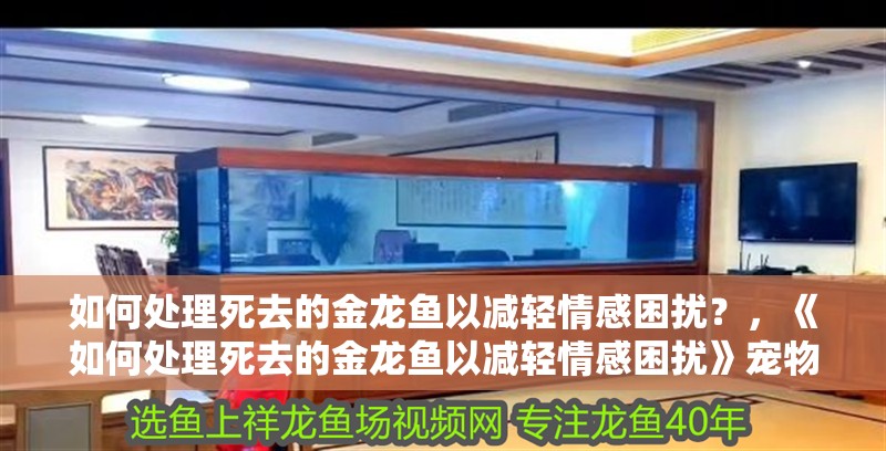 如何處理死去的金龍魚(yú)以減輕情感困擾？，《如何處理死去的金龍魚(yú)以減輕情感困擾》寵物殯葬服務(wù)