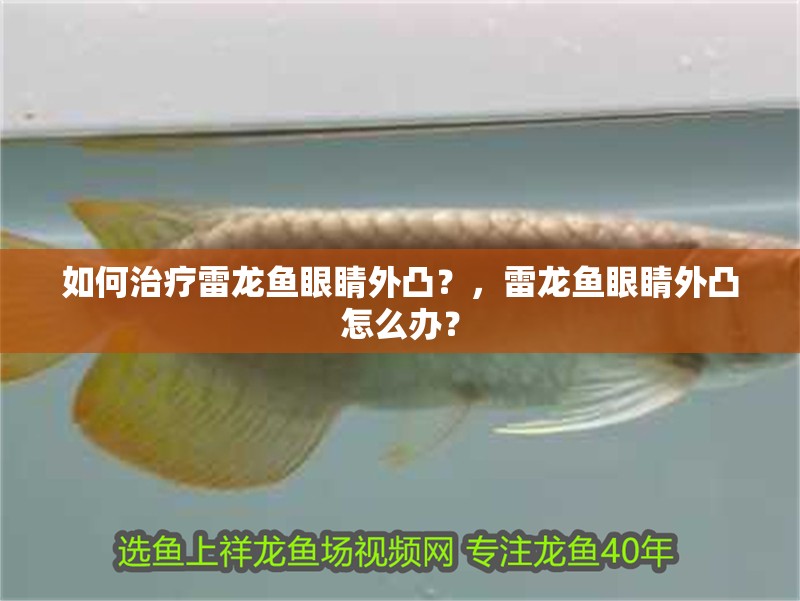 如何治療雷龍魚眼睛外凸？，雷龍魚眼睛外凸怎么辦？