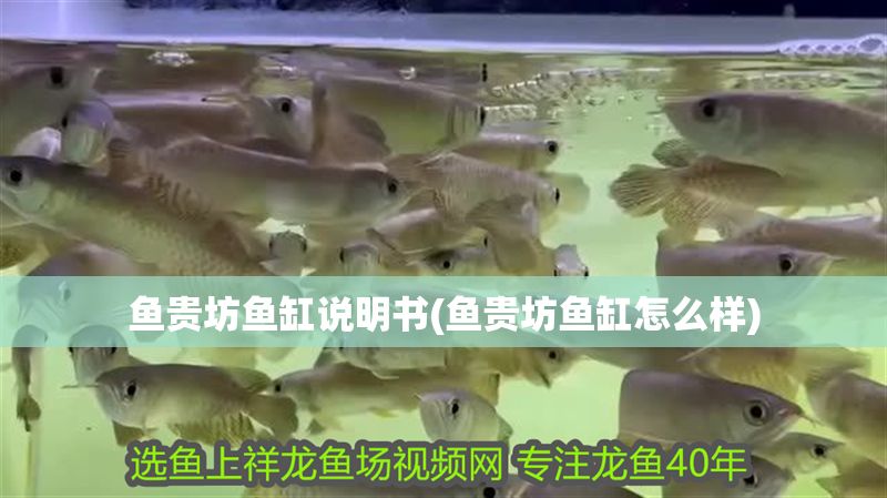 魚貴坊魚缸說明書(魚貴坊魚缸怎么樣)