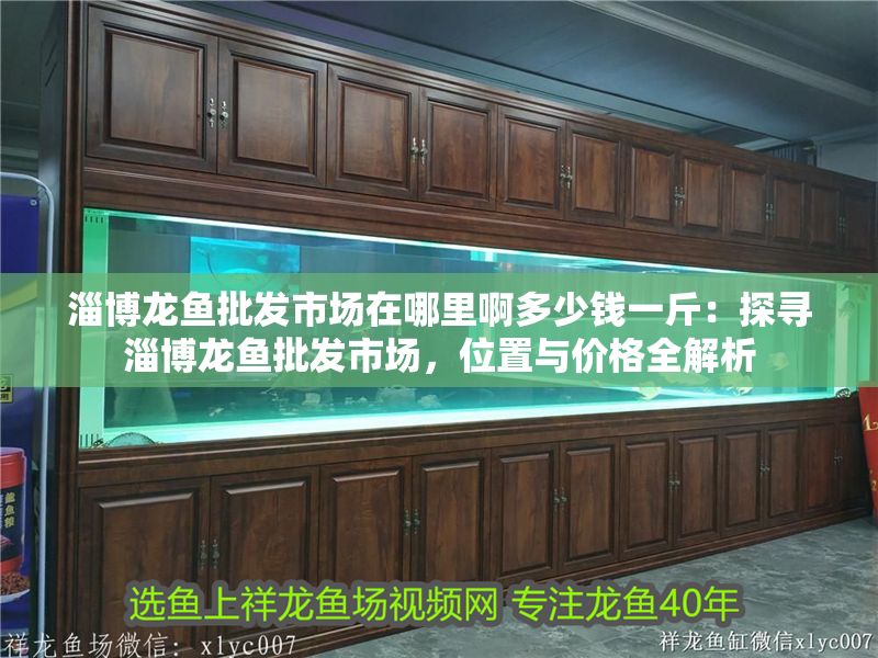 淄博龍魚批發市場在哪里啊多少錢一斤：探尋淄博龍魚批發市場，位置與價格全解析