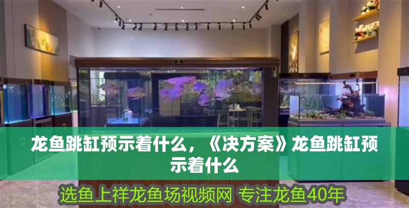 龍魚跳缸預(yù)示著什么，《決方案》龍魚跳缸預(yù)示著什么