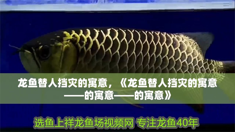 龍魚替人擋災(zāi)的寓意，《龍魚替人擋災(zāi)的寓意——的寓意——的寓意》