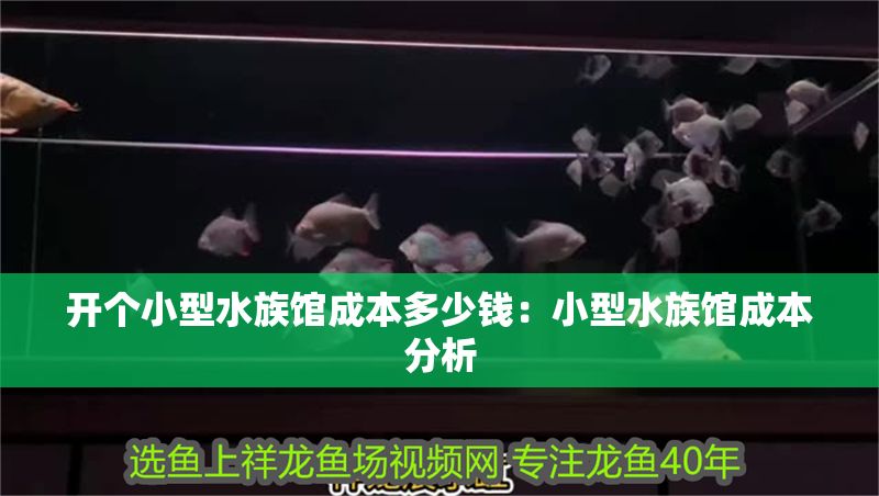 開(kāi)個(gè)小型水族館成本多少錢(qián)：小型水族館成本分析