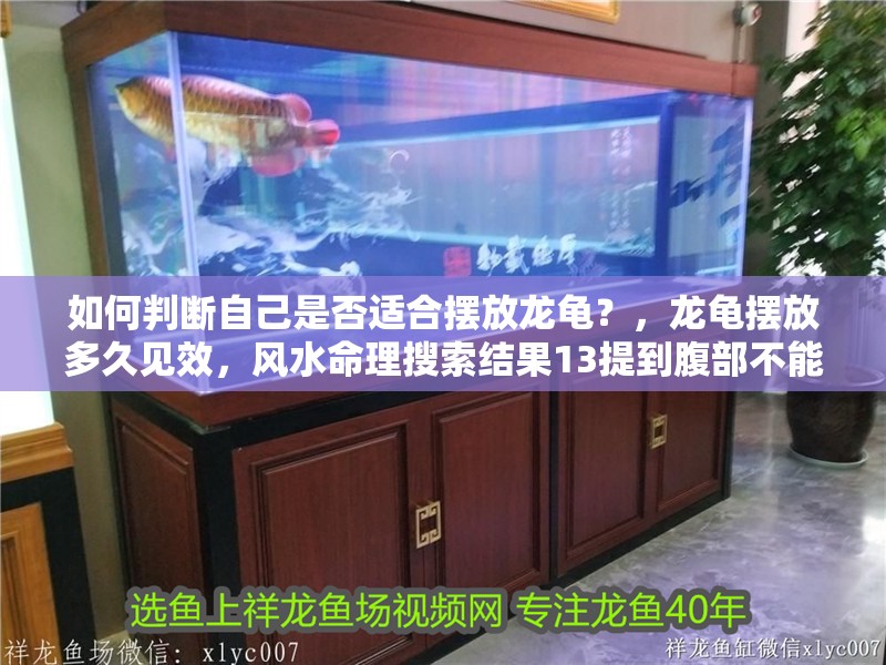 如何判斷自己是否適合擺放龍龜？，龍龜擺放多久見效，風水命理搜索結(jié)果13提到腹部不能擺放