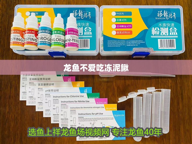 龍魚不愛吃凍泥鰍