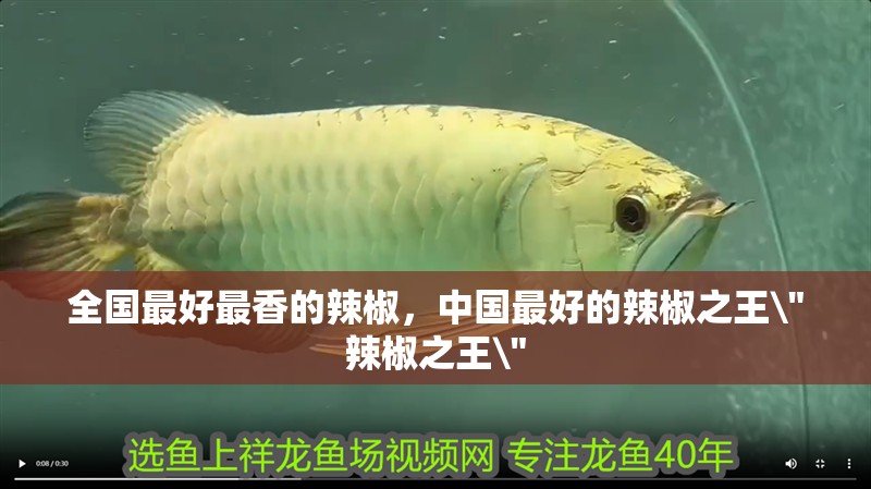 全國最好最香的辣椒，中國最好的辣椒之王\