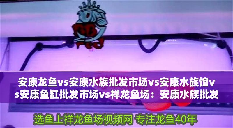 安康龍魚vs安康水族批發市場vs安康水族館vs安康魚缸批發市場vs祥龍魚場：安康水族批發市場