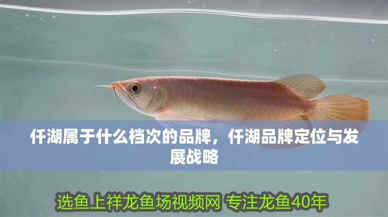 仟湖屬于什么檔次的品牌，仟湖品牌定位與發(fā)展戰(zhàn)略